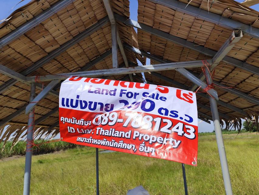 Vacant land for sale  1-9 Rais good view natural plot amidst cornfields near Kasetsart University, Kamphaeng Saen Caขายที่ดินเปล่า มีแหล่งน้ำใสสองบ่อ  2