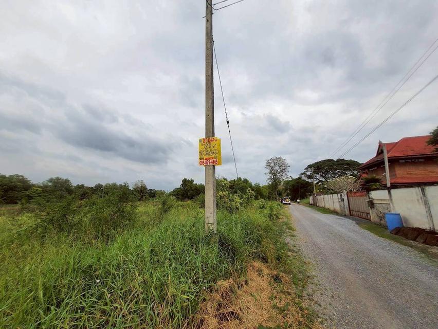 Vายถูกที่ดินคลองหก 520 ตารางวา ติดถนนสาธารณะซอย คลองหก ตต.31/1 อ.คลองหลวง จ.ปทุมธานี 6