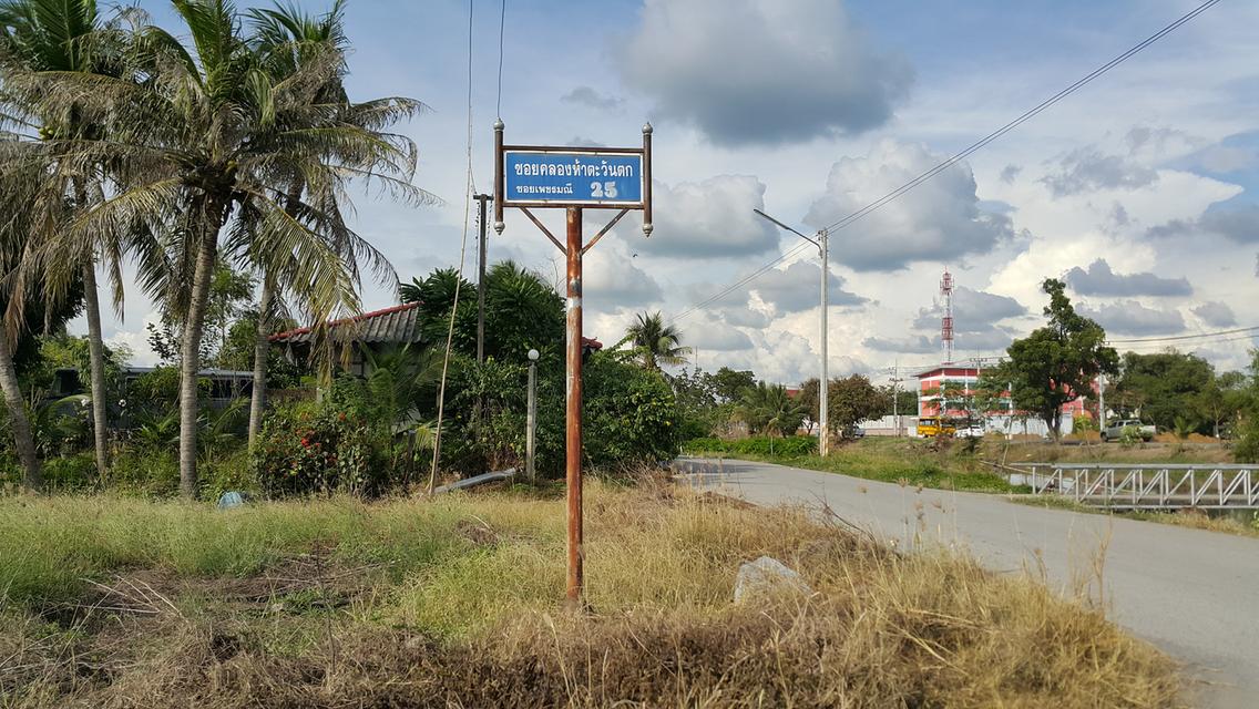 ขายที่ดิน 200 ตร.วา ซอยคลองห้าตะวันตก (ซ.เพชรมณี 25) ต.คลองห้า อ.คลองหลวง จ.ปทุมธานี 2