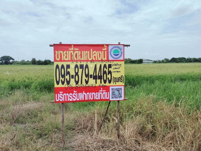 ขายด่วนที่ดิน 111 ตรว เหมาะสร้างบ้านสวน ซ.สวัสดิการแลนด์ หนองจอก กทม. 1