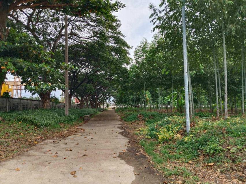 ขายที่ดินผังสีม่วง ติดถนนพหลโยธิน นวนคร พื้นที่ 110-3-35 ไร่ ต.คลองหนึ่ง อ.คลองหลวง จ.ปทุมธานี 10