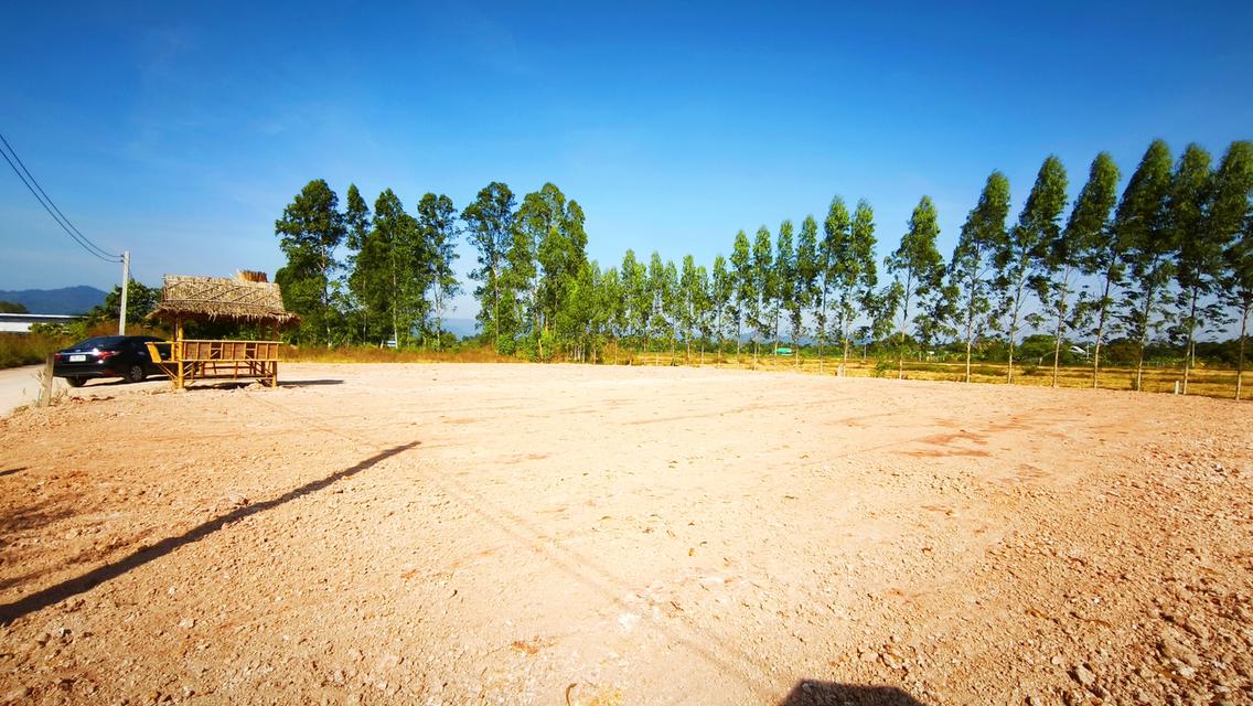 ขายที่ดิน เมืองนครนายก แปลงสวย วิวเขา ติดถนนคอนกรีต น้ำ-ไฟพร้อม มี 2ขนาด 100ตร.วา กับ 1ไร่ นครนายก 3