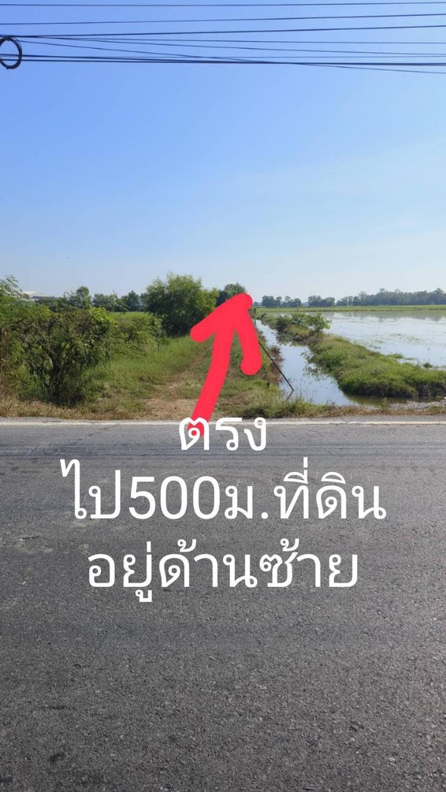 ขายที่ดินเปล่า 5 ไร่ จังหวัด นครนายก 4