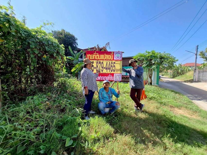 Vายถูกที่ดินซอยตองเปอะ 75 ตารางวา  ติดถนนน 2 ด้าน ถมแล้ว เทศบาล 3/2 อ.สามโคก จ.ปทุมธานี 7