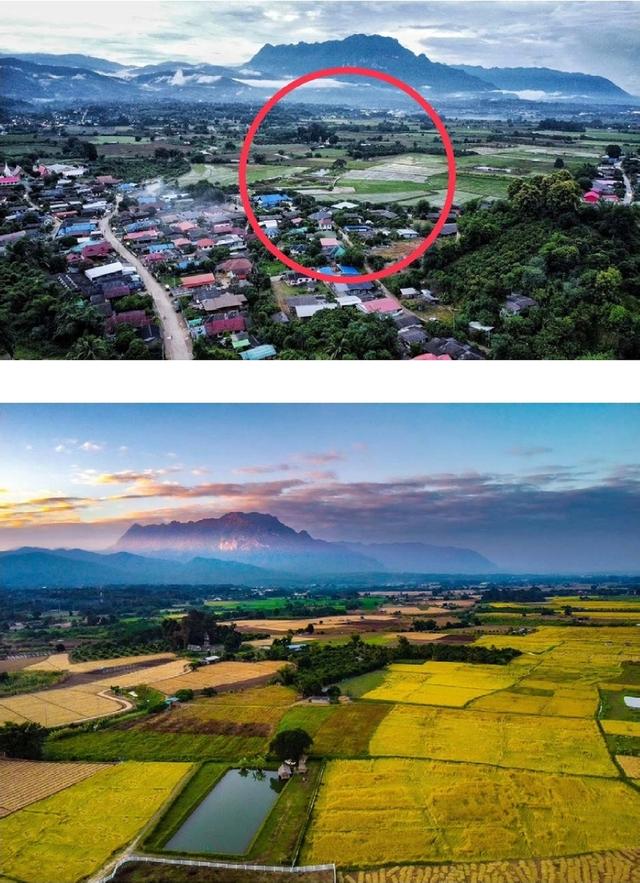 ขายที่ดินอ.เชียงดาว​ จ.เชียงใหม่ 5