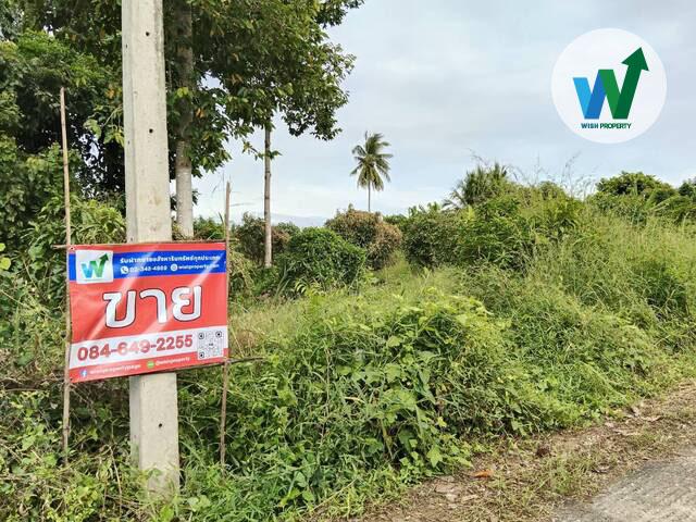 ขายที่ดินแปลงใหญ่ ศิลาดาน มโนรมย์ ชัยนาท 8ไร่ 2 งาน 49 ตร.ว. มีน้ำไฟพร้อม ใกล้ถนนพหลโยธิน 5