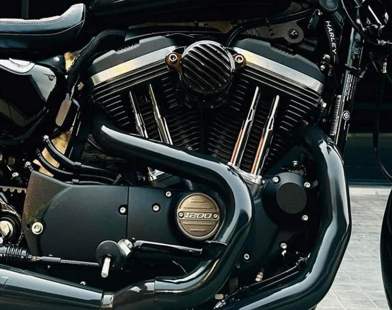 Harley Davidson Roadster ปี 2020 7