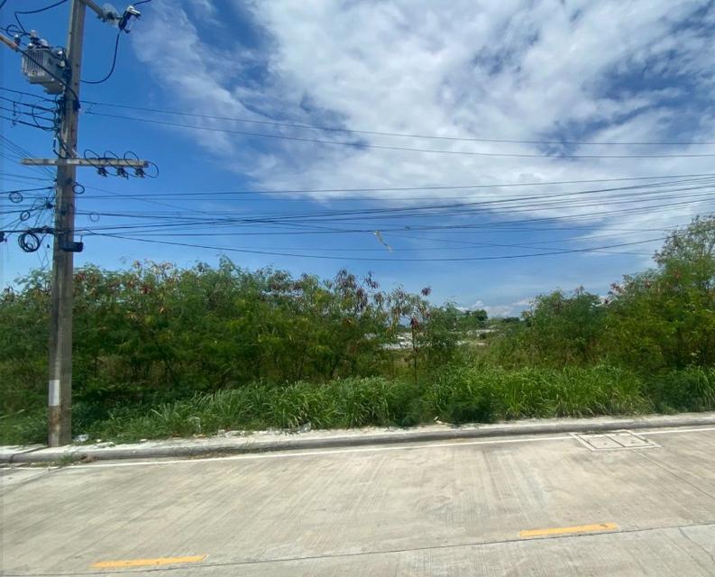 ขายที่ดินเสม็ดถมแล้วเนื้อที่ 199 ตรว. ติดถนนซ.นารถมนตเสวี9/1 ใกล้ถนนพระยาสัจจาเพียง300เมตร อ.เมืองชลบุรี 1