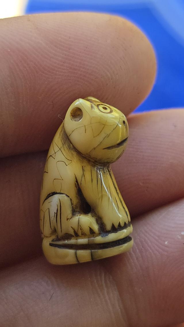 เสือแกะหลวงพ่อปาน วัดคลองด่าน