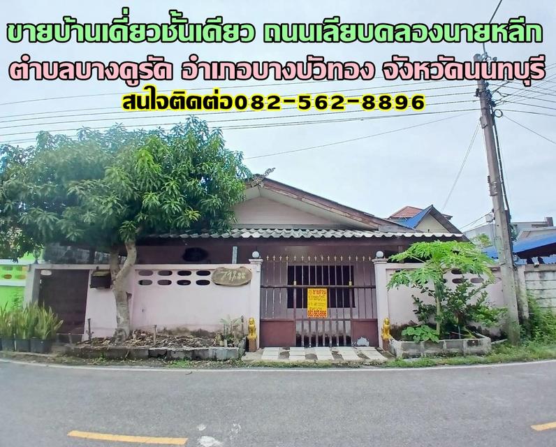 ขายบ้านเดี่ยวชั้นเดียว ถนนเลียบคลองนายหลีก บางบัวทอง นนทบุรี 1