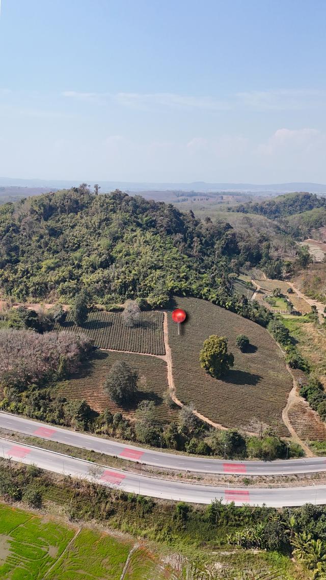 ขายที่ดินเปล่า วิวภูเขา ติดถนนสาย ชร.1063 (แม่จัน-เชียงแสน) 5