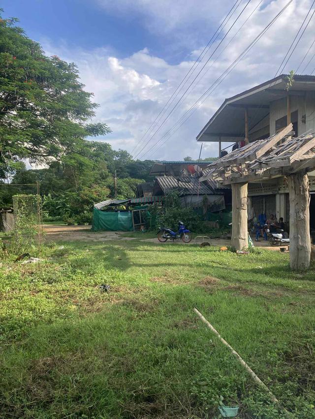 ขายบ้านพร้อมที่ดิน  เนื้อที่ 2ไร่ 2 งาน 74 ตรว ค่ะ 🏠 🏡บ้านห้วยไร่ อำเภอเด่นชัย จังหวัดแพร่ 7