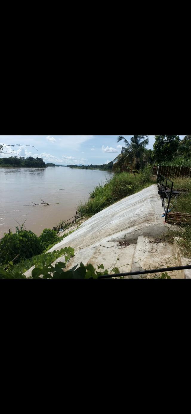 ขายที่ดินติดริมน้ำปิงกำแพงเพชร 7