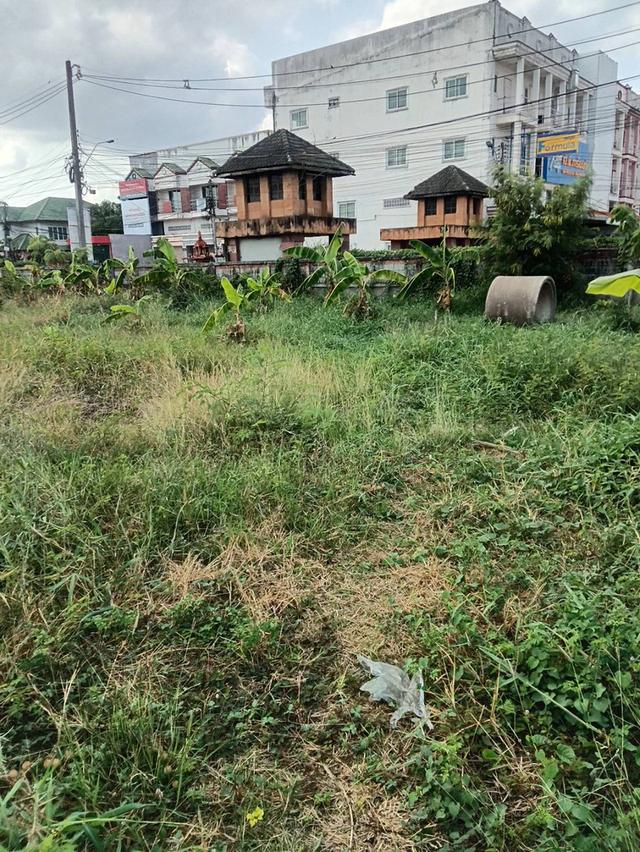 ให้เช่า/ขาย ที่ดิน จ.อุดรธานี 1