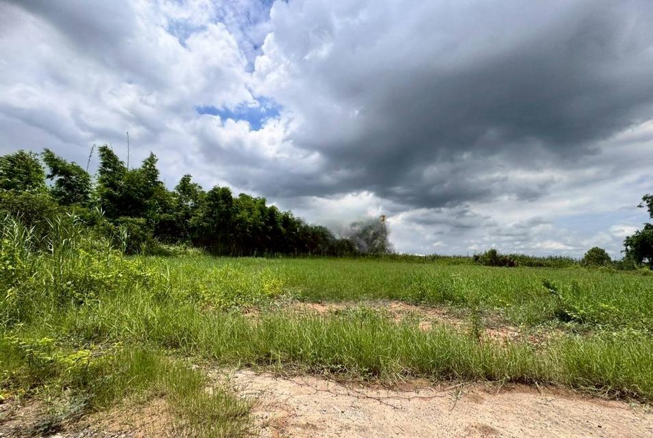 ขายที่ดินสวย ฉลองกรุงการ์เด้น ซอยวัดอู่ตะเภา ตรงข้าม FBT ฉลองกรุง (N.1753) 1