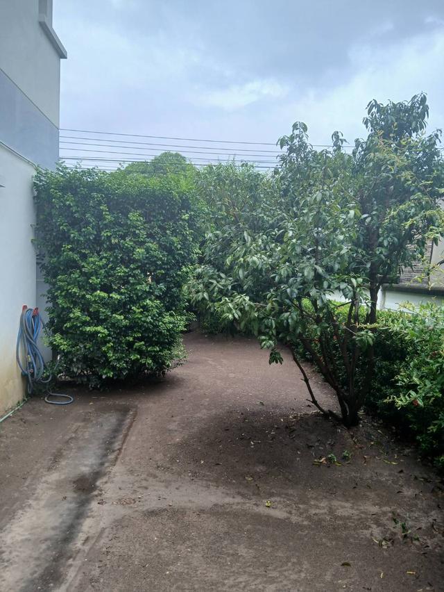 ให้เช่าบ้านเดี่ยว 2 ชั้น : 56 ตรว.  3 ห้องนอน 3 ห้องน้ำ ถนนบ้านกล้วย-ไทรน้อย บางบัวทอง นนทบุรี ตรงข้ามสนามเด็กเล่น ฟิตเนต สวนสาธารณะหมู่บ้าน 3