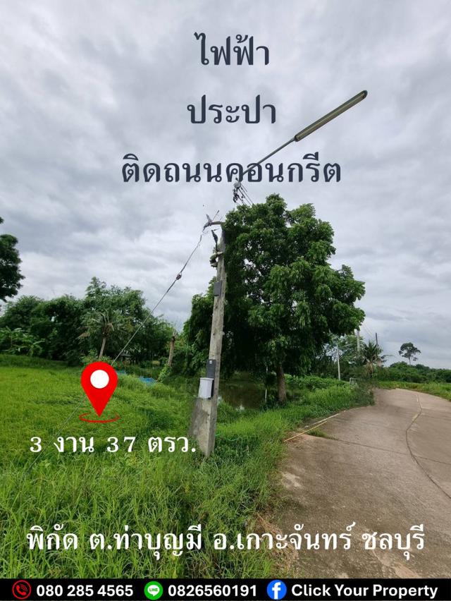 ขาย ที่ดิน ใกล้ถนน 331 เพียง 1.2 กม. เท่านั้น #CYP198ขายที่ดินเกาะจันทร์ ชลบุรี 3 งาน 37 ตรว 5