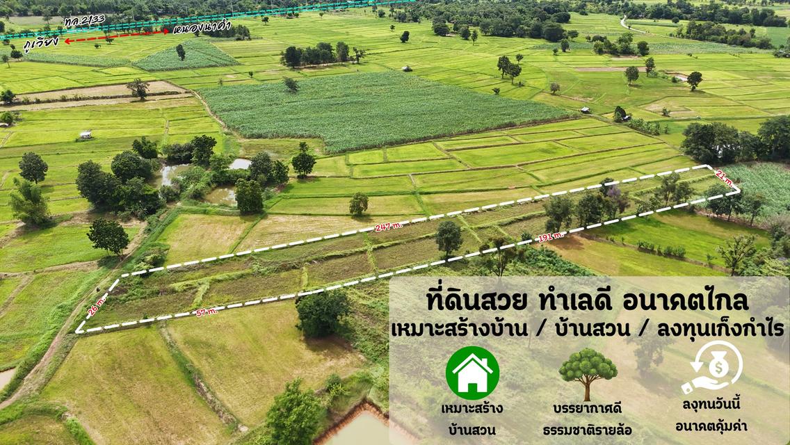 ขายที่นาสวยๆ วิวภูเขา ใกล้ตัวอำเภอภูเวียงจ.ขอนแก่นใกล้ทางกลวง4เลนห่างตัวเมืองไม่ใกล เหมาะกับบ้านสวน มีทางเข้า/ออ ทางสาธารณะราคาหลักหมื่น 3