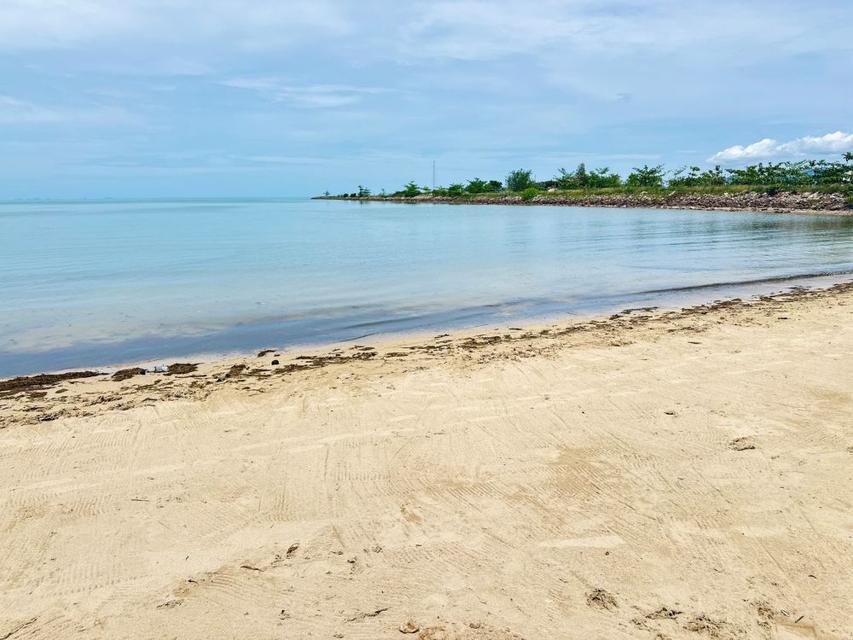 ขายที่ดินริมชายหาด เกาะสมุย 5ไร่ 1 งาน 60.20 ตร.ว. ไร่ละ 30 ล้านบาท ใกล้สนามบินเกาะสมุย บ่อผุด  1
