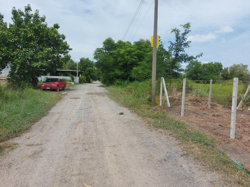 รูป ขายที่ดิน 2 ไร่ คลองหลวง คลองสอง 6