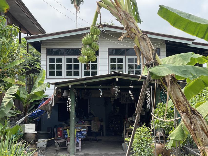 ขายบ้านครึ่งปูนครึ่งไม้พร้อมที่ดิน 100 ตรว. 1