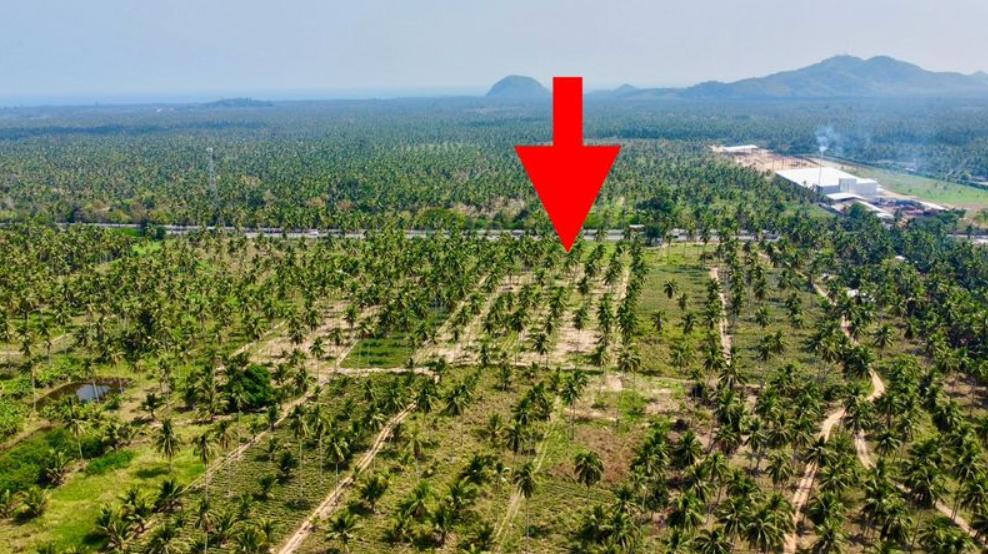ขายด่วน ที่ดินติดถนนเพชรเกษม ทับสะแก  7