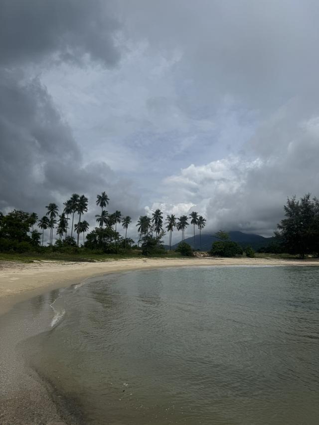 ที่ดินติดชายหาดสวยงาม อำเภอสิชล จังหวัดนครศรีธรรมราช ขนาด 5 ไร่ 266 ตารางวา ราคา ไร่ละ 7 ล้านบาท  ที่ดินผืนงามติดชายหาด  1