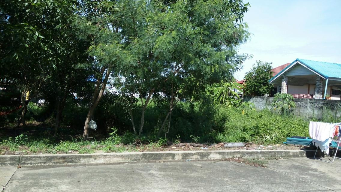 ที่ดิน 70 ตร.ว. ต.บางใหญ่ จ.นนทบุรี 1