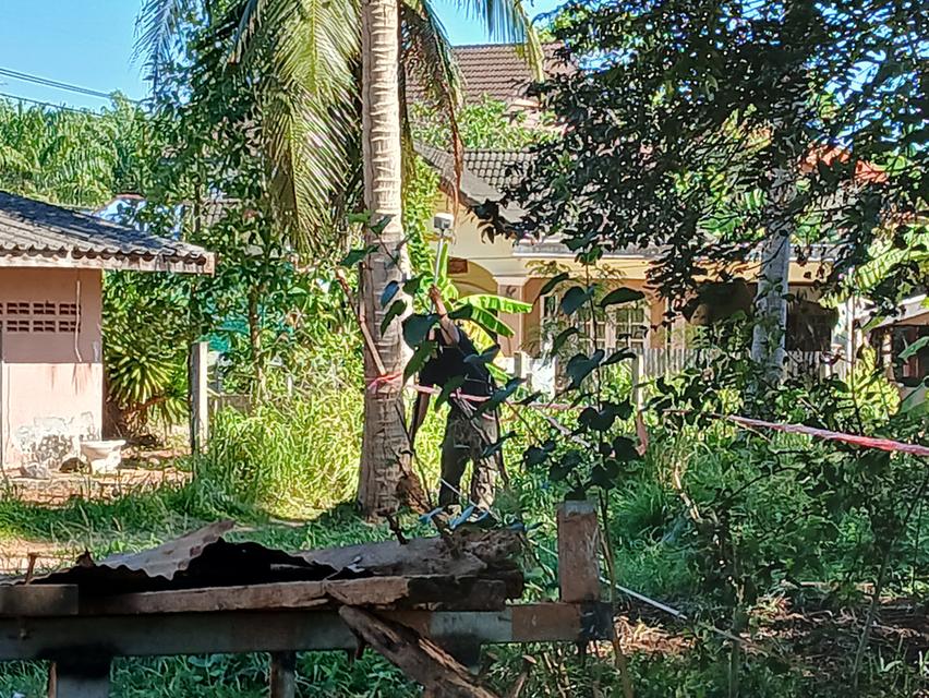 ขายที่ดินเปล่าโฉนด 1 งาน 14 ตร.ว. อยู่ในชุมชน ต.นาชะอัง อ.เมืองชุมพร ห่างศาลากลางจังหวัดเพียง 3 กม. ที่เนินปลอดภัยจากน้ำท่วม เจ้าของเองครับ 11