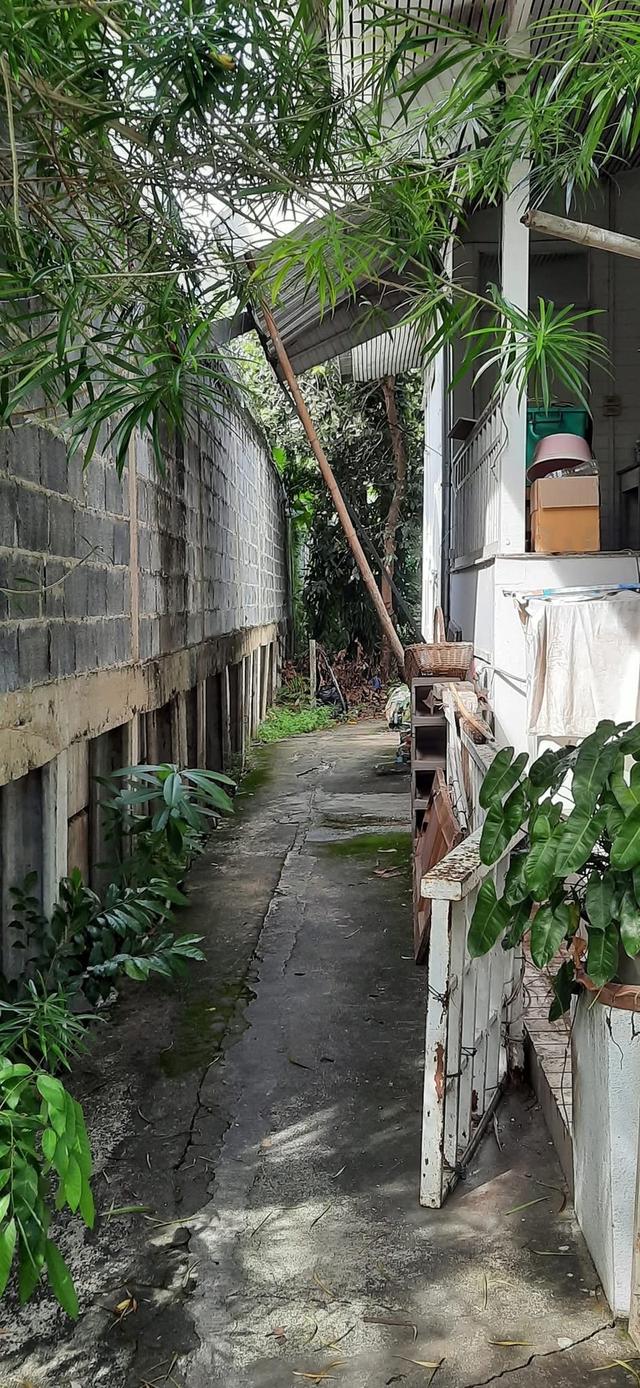 "ขายครับเจ้าของขายเอง"🏡บ้านสวนตลิ่งชัน พุทธมณฑลสาย1/22 พร้อมสิ่งปลูกสร้างบ้าน3หลัง1หลังสร้างด้วยไม้สักทองครับเนื้อที่235ตร.ราคาขาย40M. 8