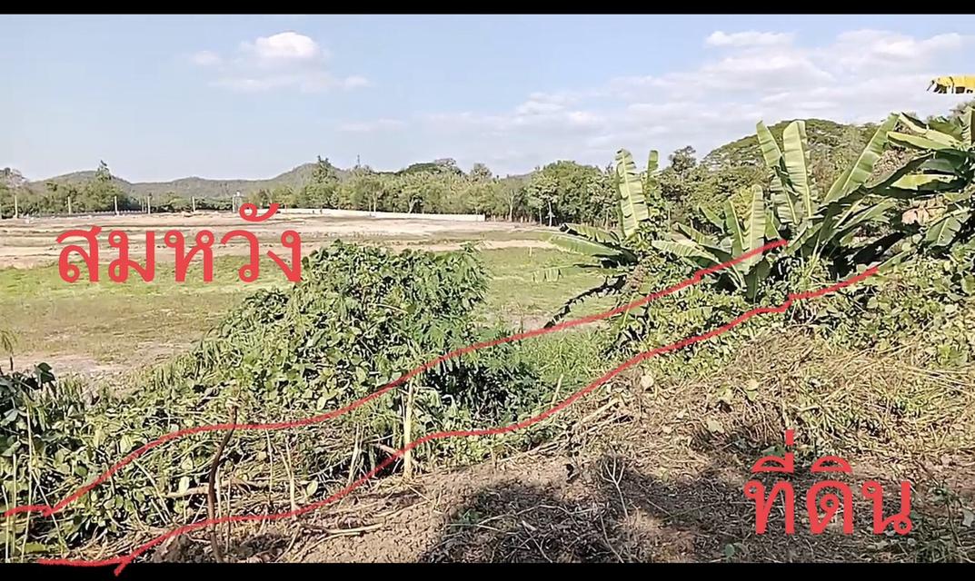 ที่ดินเปล่าแปลงสวย,ลำพูน 2