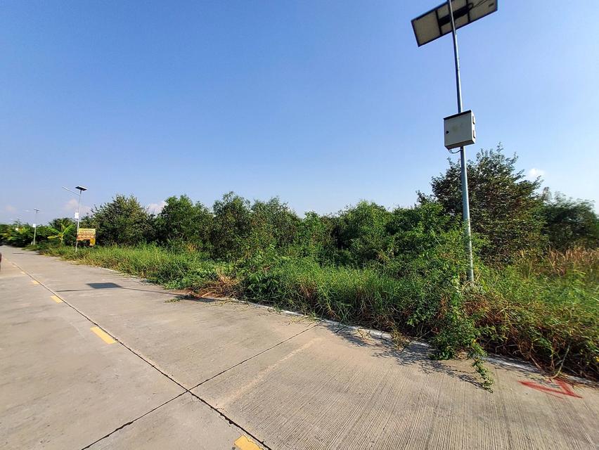 ขายด่วนที่ดินถนนฤชุพันธุ์ 568 ตรว ติดถนนคอนกรีตสาธารณะ ซ.ฤชุพันธุ์ 4 อ.ไทรน้อย จ.นนทบุรี 5