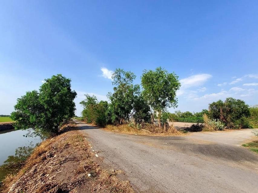 ขายที่ดินคลองห้า 2 ไร่ แปลงมุม ถมแล้ว ติดถนนคอนกรีต ซอย กลั่นกรอง อ.คลองหลวง จ.ปทุมธานี 5