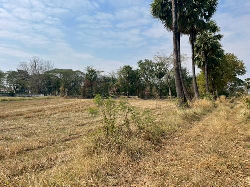 ขายที่ดิน 3 งาน 78.0 ตรว. ต.ขามทะเลสอ อ.ขามทะเลสอ จ.นครราชสีมา 12