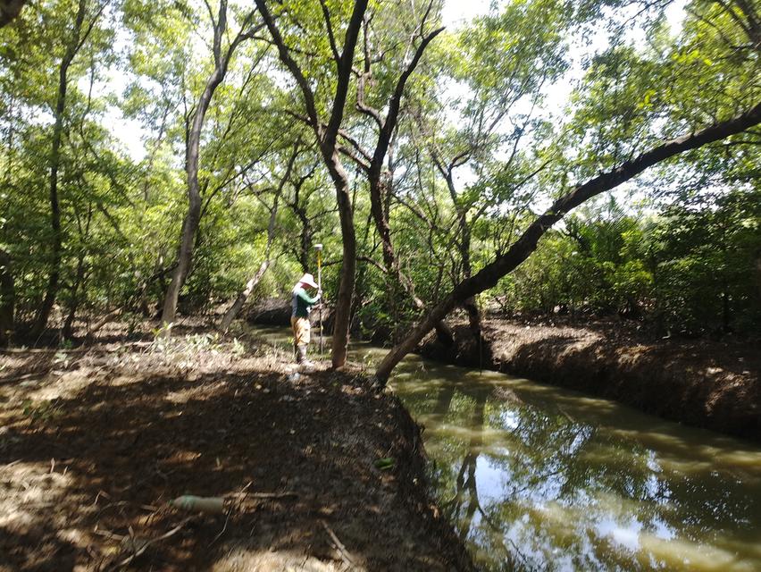 ที่ดินเปล่าริมน้ำ คลองด่าน มีต้นไม้ใหญ่ 6
