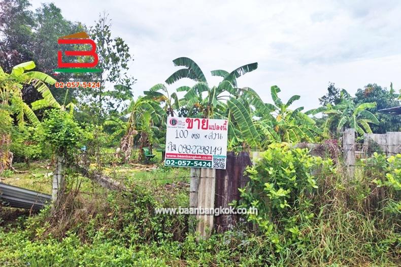ที่ดิน ถมแล้ว ซอยมิตรไมตรี 2/2 เนื้อที่ 100 ตรว. ถนนมิตรไมตรี เขตหนองจอก กรุงเทพฯ