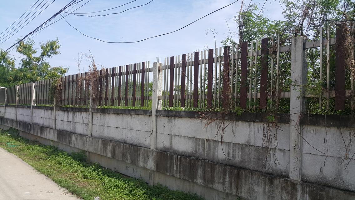 ขาย ที่ดิน 1 ไร่ ถมแล้ว ซอยจตุโชติ 4 แขวงออเงิน เขตสายไหม ออเงินลงด่านจตุโชติ ทางด่วนฉลองรัช *** เดินทางสะดวกเข้าออกได้หลายเส้นทาง***