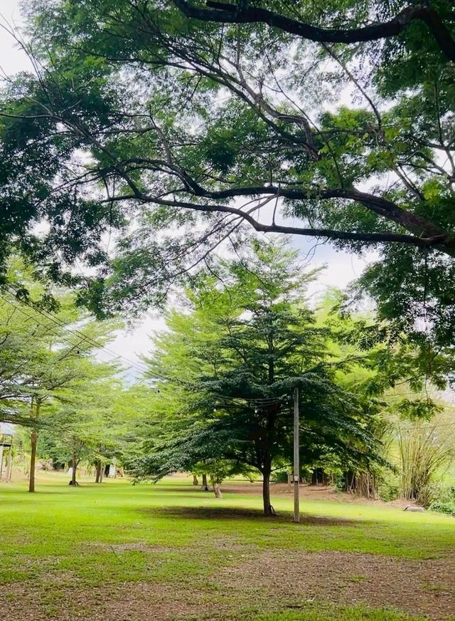 ที่ดินริมน้ำนครนายก ทำเลสาริกา สำหรับบ้านพักและการลงทุน 14