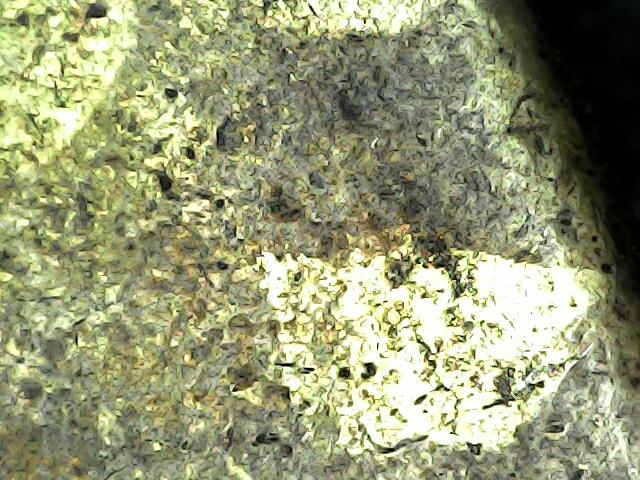 พระหลวงปู่ทวดหลังเตารีด 10