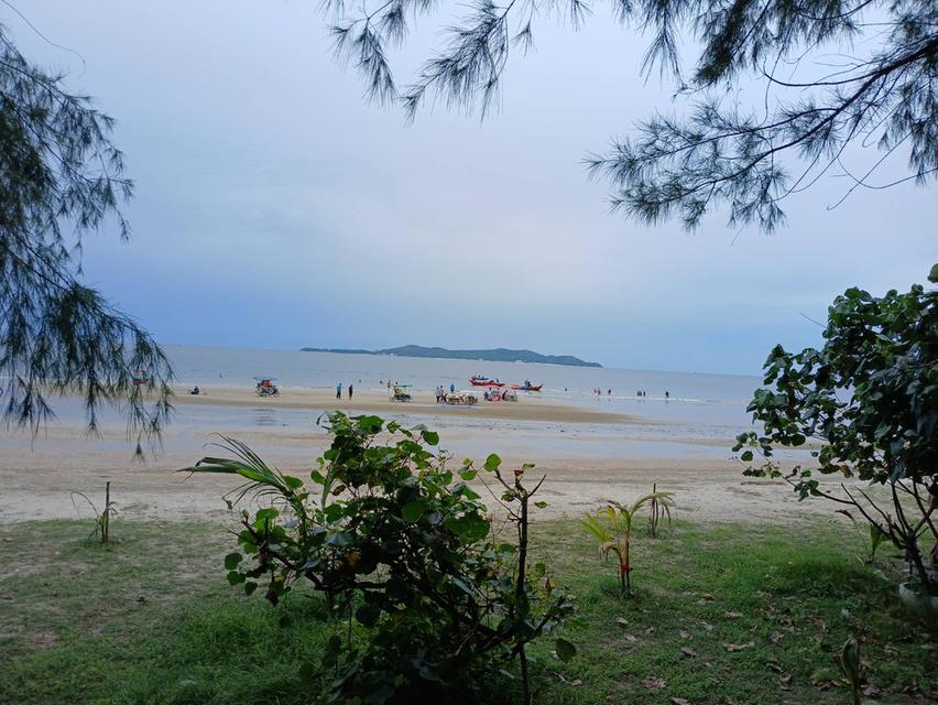 ที่ดินห่างชายทะเลหาดสวนสน จ.ระยอง 500 เมตร 11