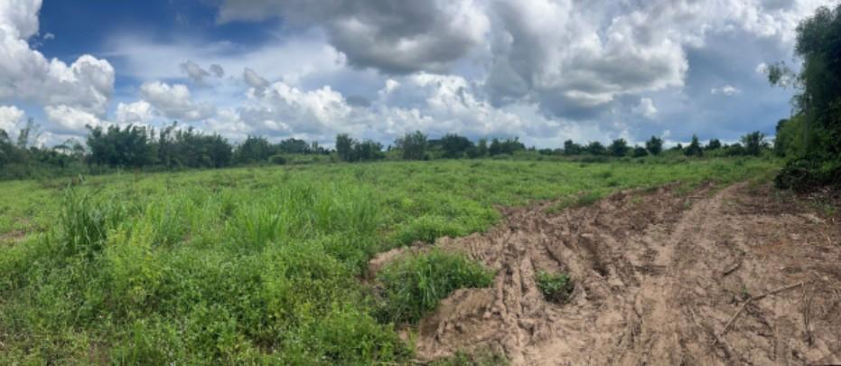 ขายที่ดินทำเลทองแปลงใหญ่ ศรีมหาโพธิ จ.ปราจีนบุรี ติดถนนใหญ่ ใกล้สำนักงานเทศบาลตำบลกรอกสมบูรณ์ 7