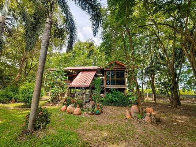 ขายที่ดินทำเลทองพร้อมสิ่งปลูกสร้าง บนเนื้อที่ 18 ไร่ 2 งาน 19 ตารางวา พิษณุโลก 8