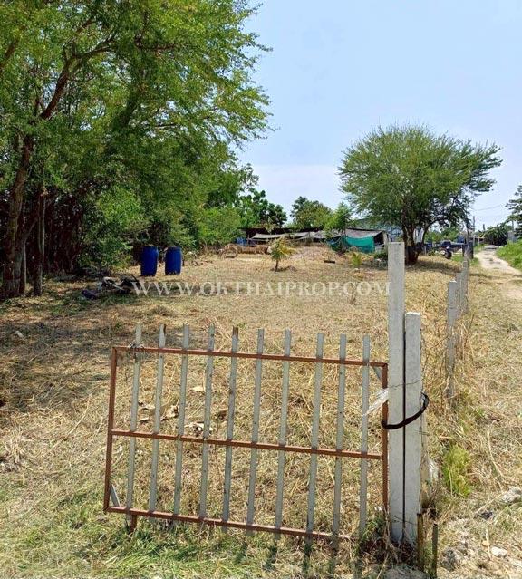 ที่ดินพานทองใกล้ดูโฮม ถ.ศุขประยูร ต.หนองตำลึง อ.พานทอง จ.ชลบุรี 3