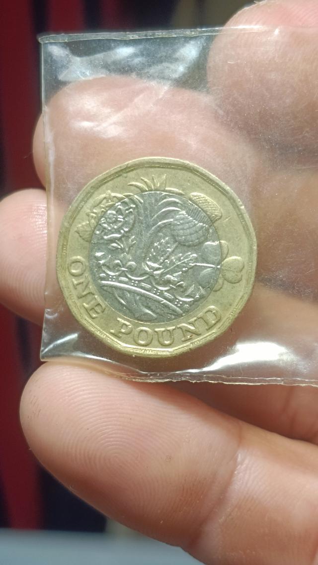 เหรียญกษาปณ์อลิซาเบธ 2016 2