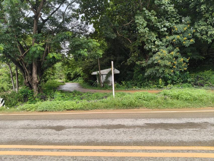 ที่ดิน ทำเลติดภูเขา จ.น่าน 5