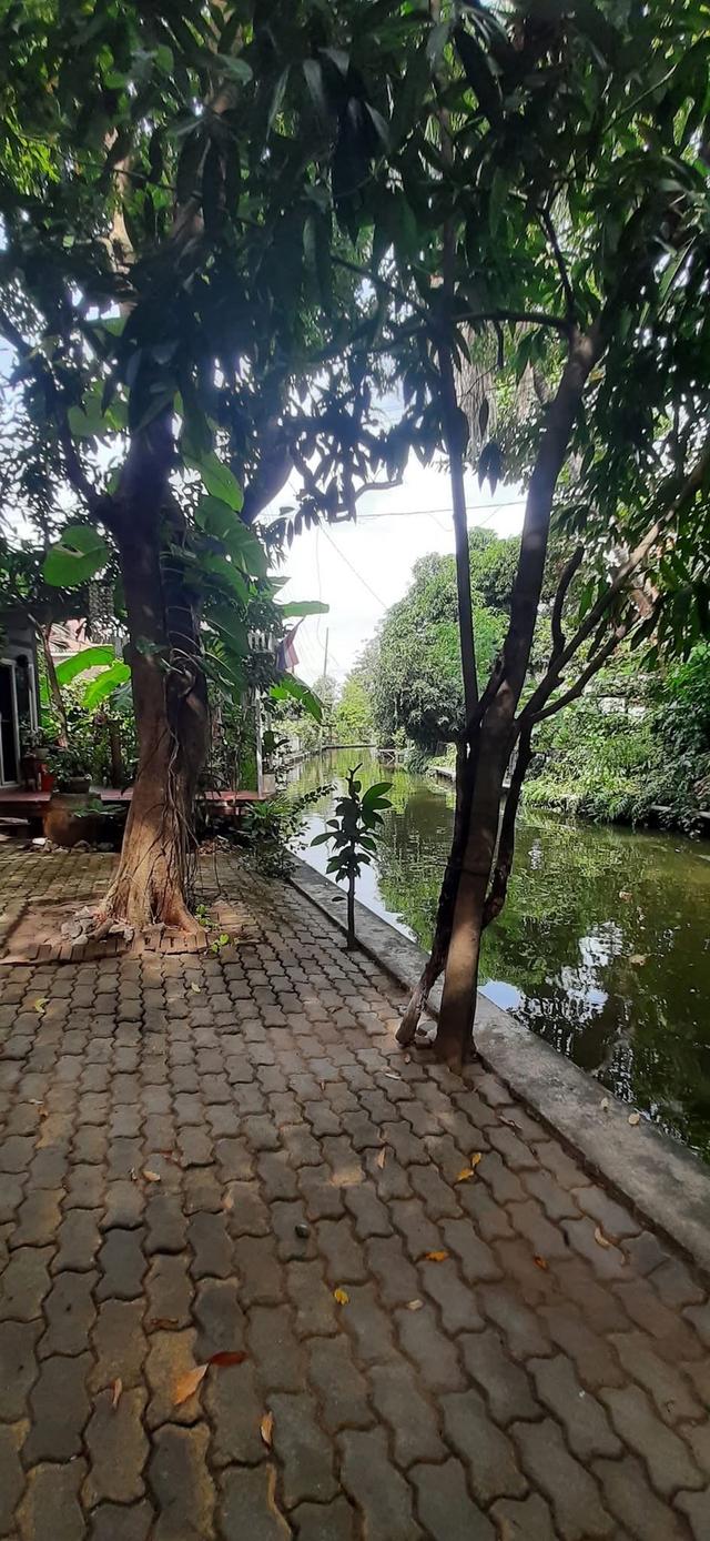 "ขายครับเจ้าของขายเอง"🏡บ้านสวนตลิ่งชัน พุทธมณฑลสาย1/22 พร้อมสิ่งปลูกสร้างบ้าน3หลัง1หลังสร้างด้วยไม้สักทองครับเนื้อที่235ตร.ราคาขาย40M. 2