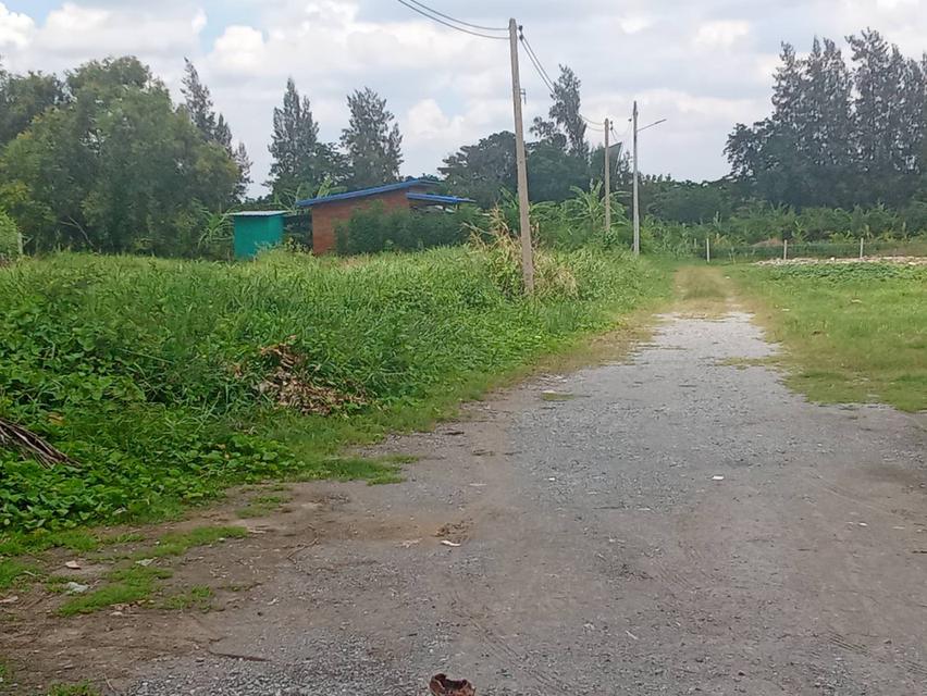 ที่ดิน ใกล้ ม.มหิดล ศาลายา 1