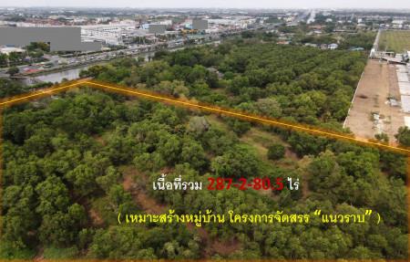 ขายถูกที่สุด! ที่ดินติดถนนรังสิต-นครนายก #ใกล้ Future Park (เหมาะสร้างหมู่บ้าน โครงการจัดสรร แนวราบ) 287-2-80.5 ไร่ ใกล้ 4