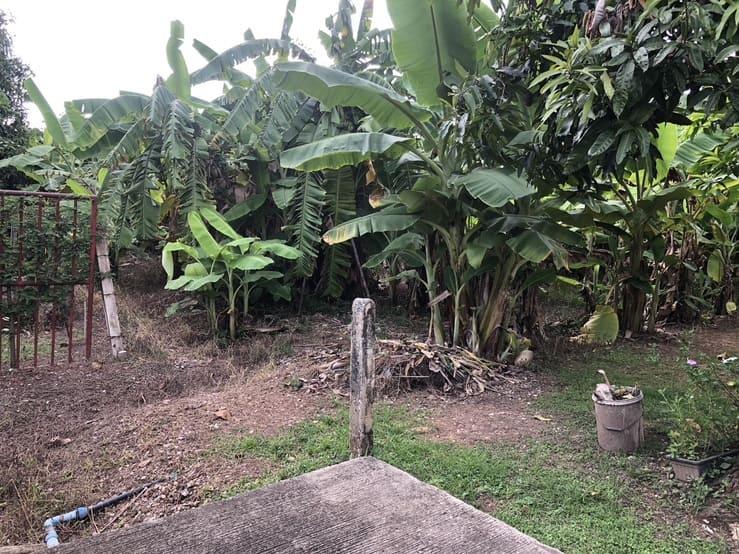 ขายที่ดิน 106 ตรว. ขาย 750,000บาท เขตเทศบาลหัวรอ อำเภอเมือง จังหวัดพิษณุโลก 5