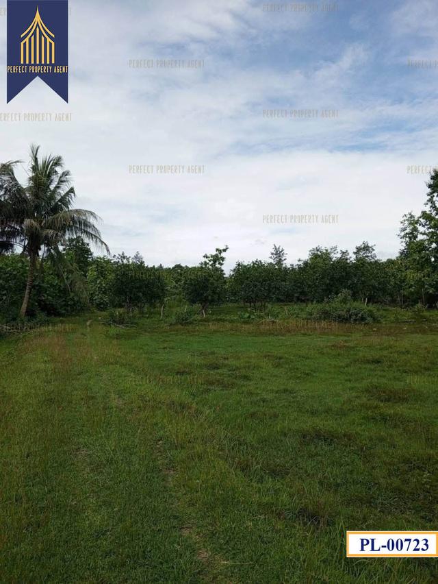 ที่ดิน อำเภอ เถิน จังหวัด ลำปาง 35 ไร่ติดถนนสายเอเชียและแม่น้ำวังพัฒนา 5